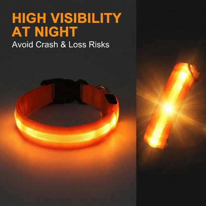Rechargeable LED Dog Collar with USB Charging, Waterproof and Reflective Adjustable Nylon for Nighttime Safety