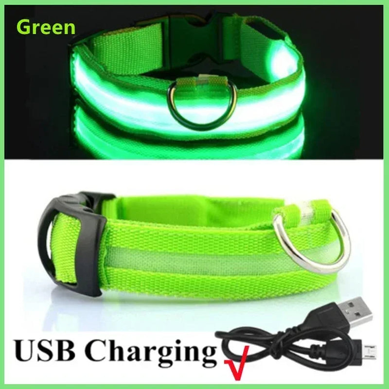 Rechargeable LED Dog Collar with USB Charging, Waterproof and Reflective Adjustable Nylon for Nighttime Safety
