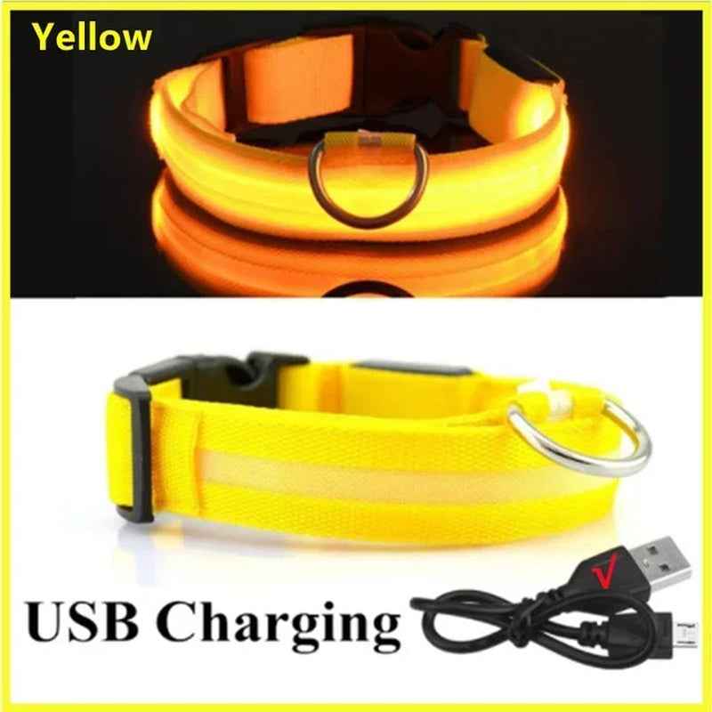 Rechargeable LED Dog Collar with USB Charging, Waterproof and Reflective Adjustable Nylon for Nighttime Safety