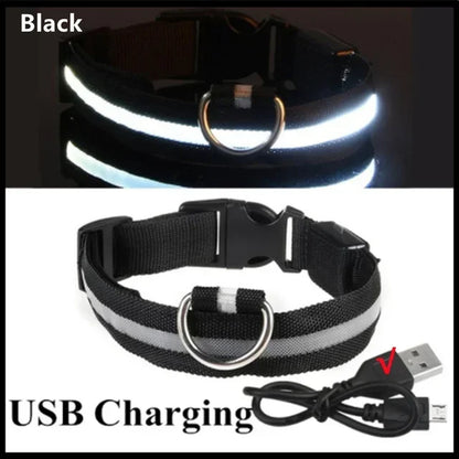 Rechargeable LED Dog Collar with USB Charging, Waterproof and Reflective Adjustable Nylon for Nighttime Safety