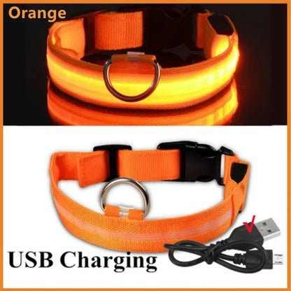 Rechargeable LED Dog Collar with USB Charging, Waterproof and Reflective Adjustable Nylon for Nighttime Safety