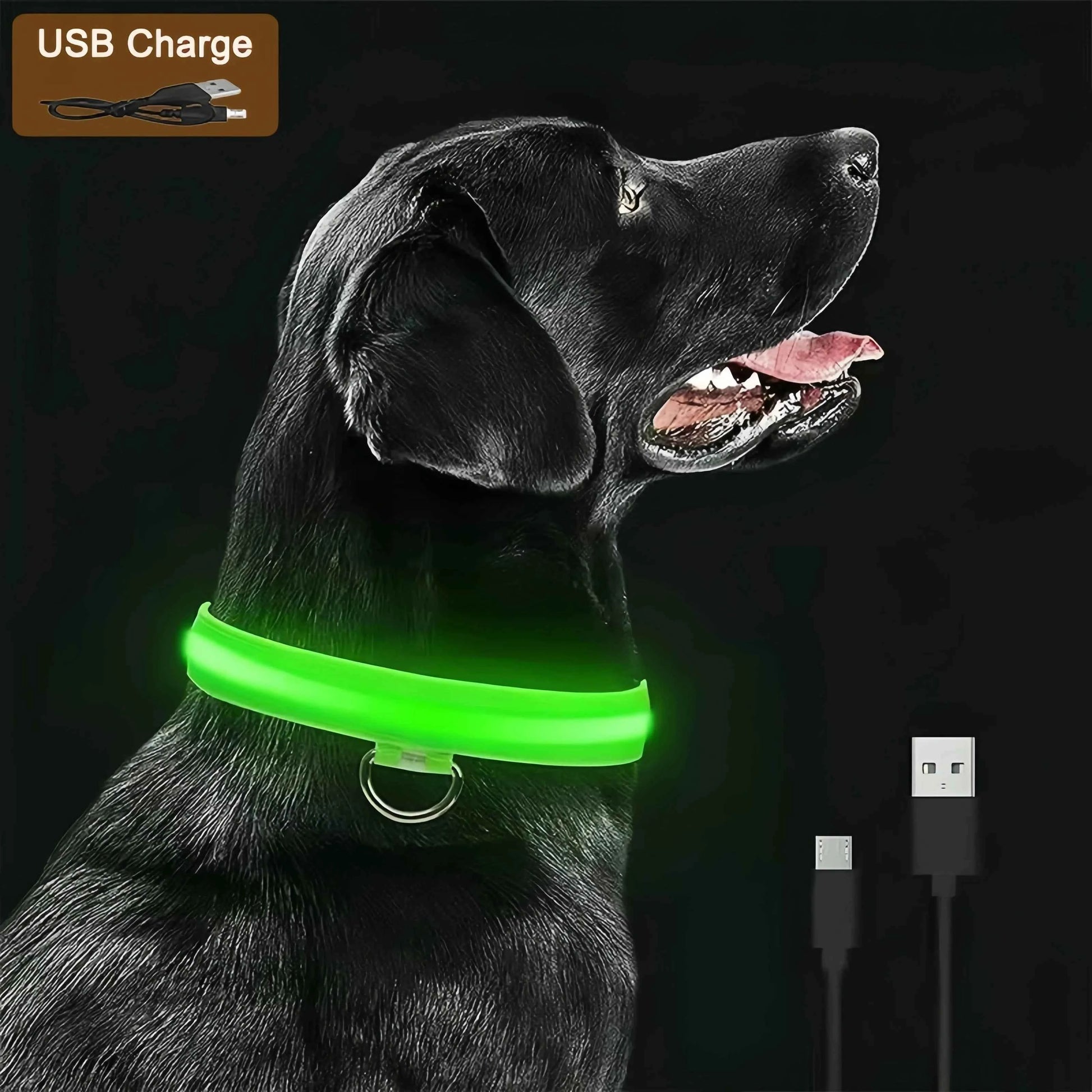 Rechargeable LED Dog Collar with USB Charging, Waterproof and Reflective Adjustable Nylon for Nighttime Safety