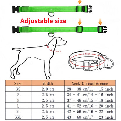 Rechargeable LED Dog Collar with USB Charging, Waterproof and Reflective Adjustable Nylon for Nighttime Safety