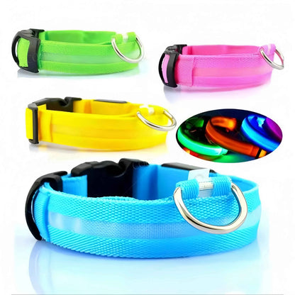 Rechargeable LED Dog Collar with USB Charging, Waterproof and Reflective Adjustable Nylon for Nighttime Safety