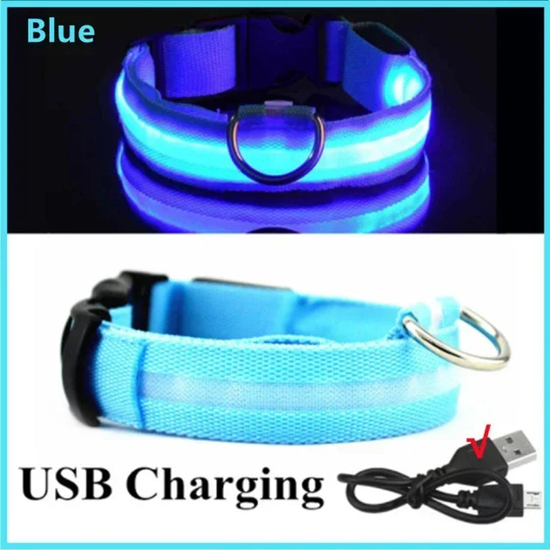 Rechargeable LED Dog Collar with USB Charging, Waterproof and Reflective Adjustable Nylon for Nighttime Safety