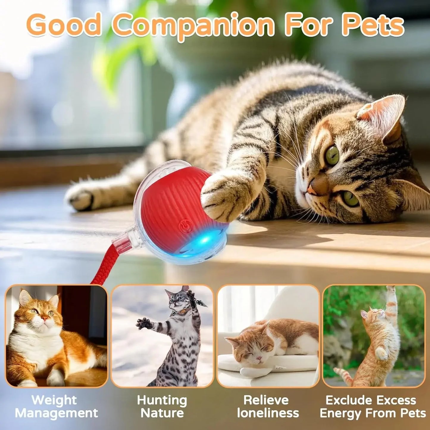Automatic Rolling Ball Cat Toy (USB Rechargeable)