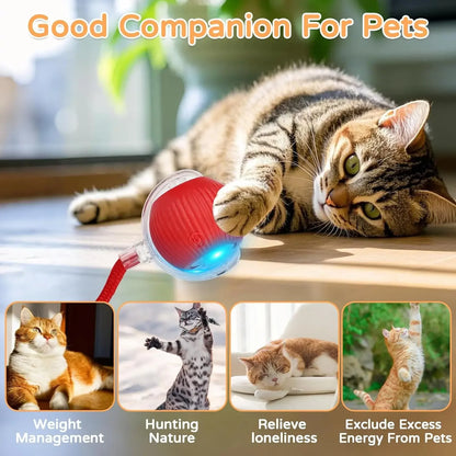 Automatic Rolling Ball Cat Toy (USB Rechargeable)