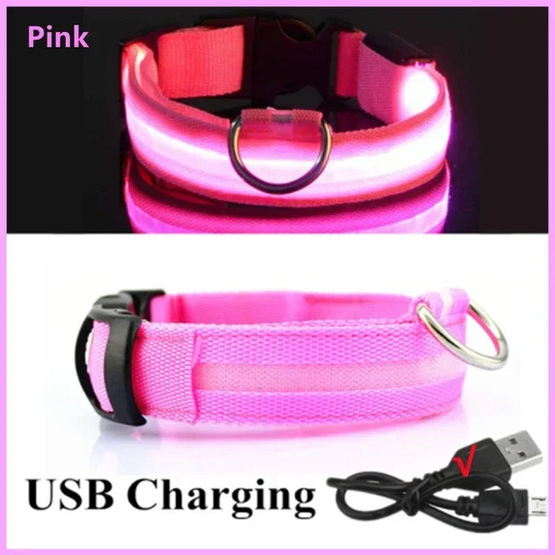 Rechargeable LED Dog Collar with USB Charging, Waterproof and Reflective Adjustable Nylon for Nighttime Safety