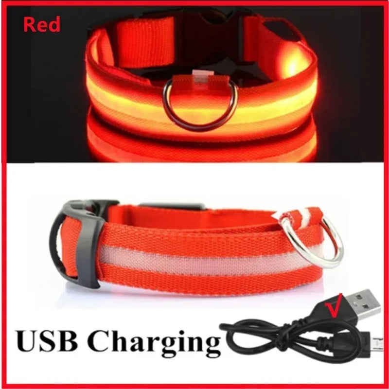 Rechargeable LED Dog Collar with USB Charging, Waterproof and Reflective Adjustable Nylon for Nighttime Safety